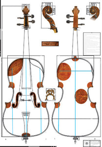 Technical Drawing: Violoncello/Viol ("The Fruh") by Stradivari, 1730