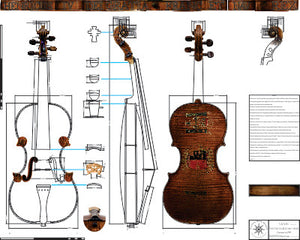 Technical Drawing: Violin ("King Henry IV"), by the Brothers Amati, 1595