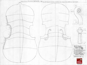 Technical Drawing:  Viola by Nicola Bergonzi, Cremona, 1781